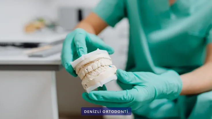 Eldivenli ellerde tutulan alçı çene modeli